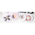 Chromatography Challenge Science and Art Guided-Inquiry Kit