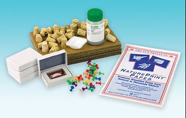 Make a Print of a Magnetic Field Kit for Physics and Physical Science