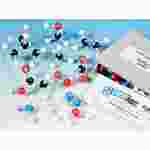 Build Models of Molecules Guided-Inquiry Kit for Chemistry