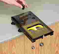 Galileo’s Gravity Drop Demonstration for Physical Science and Physics