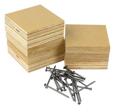 Hanging Nails Challenge Physical Science and Physics Guided-Inquiry Kit