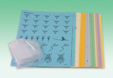 Stream Macroinvertebrate Sampling Simulation Kit for Environmental Science