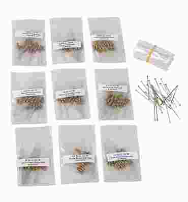Resistance Mystery Electricity and Circuits Laboratory Kit