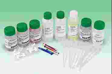 Exploring Chemical Reactions with Food Dyes Chemistry Laboratory Kit