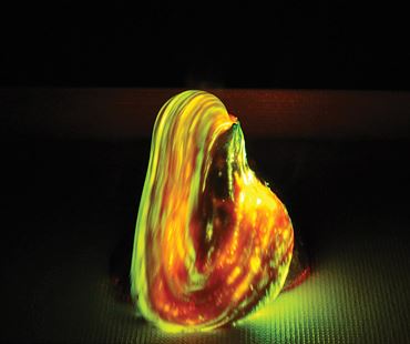 Hydrogen peroxide solution, food coloring, yeast