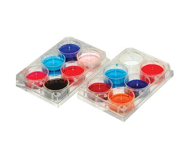 Oxidation–Reduction Review Demonstration Kit for AP® Chemistry