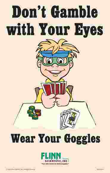 Flinn Favorite Goggle Safety Posters