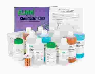 Molar Relationships and Stoichiometry - Flinn's Exploring Chemistry Curriculum Package
