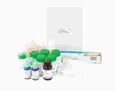 Chemical Bonding—Flinn’s Exploring Chemistry Curriculum Package