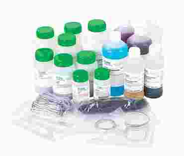 Matter and Measurement - Flinn's Exploring Chemistry Curriculum Package