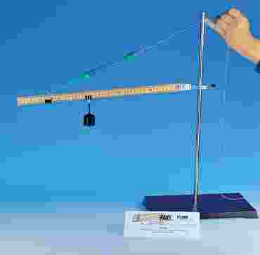 Torque Advanced Inquiry Lab Kit for AP* Physics 1