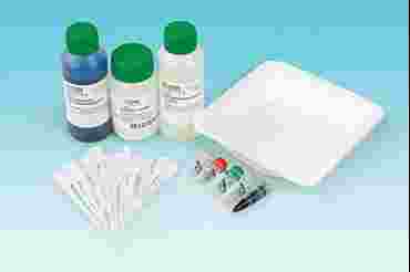 Flinn Forensic Files™ DNA Verification Laboratory Kit