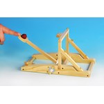 Catapult for Physical Science and Physics