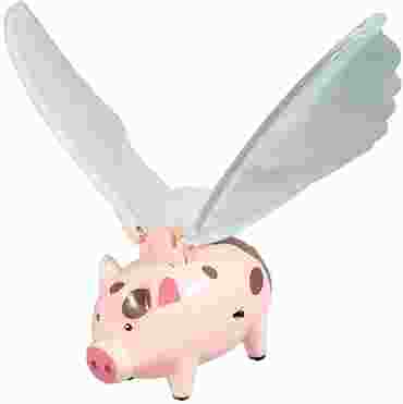 The Flying Pig Physical Science and Physics Demonstration