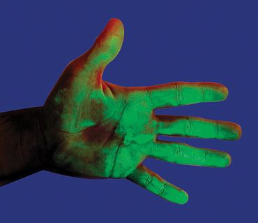 Fluorescent Invisible Detection Paste for Forensics