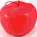 Newton's Apple Model for Physical Science and Physics