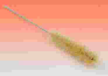 Test Tube Brush