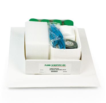 camera, camera obscura, pinhole camera