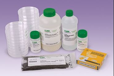 Road Deicers Green Chemistry Laboratory Kit