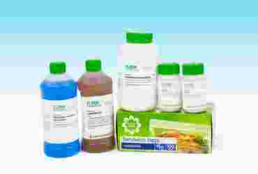 The Inorganic Chemistry of Painting Guided-Inquiry Kit for Chemistry