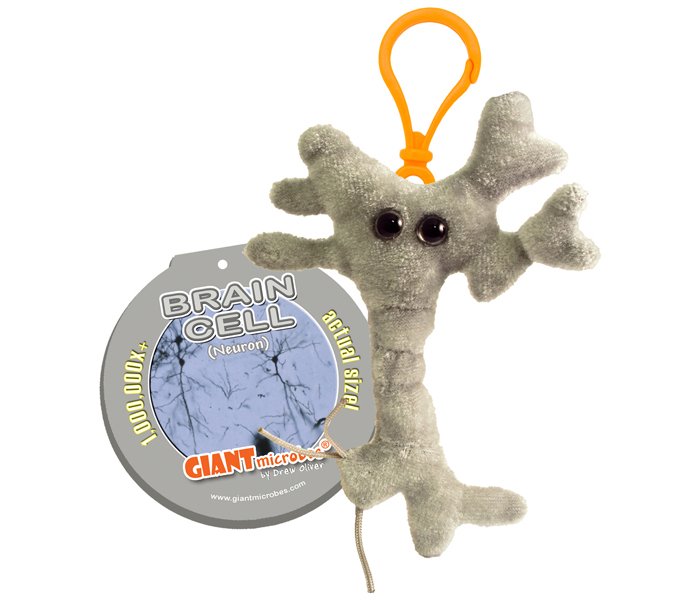 brain cell stuffed animal