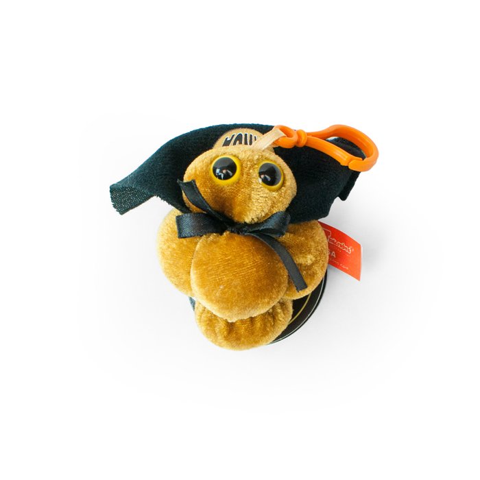 MRSA, Giant Microbe®, Keychain Flinn Scientific