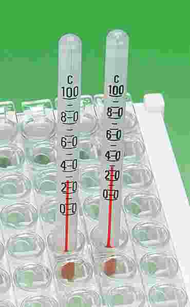 Microscale Thermometer