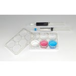 Kool Chromatography Chemical Demonstration Kit