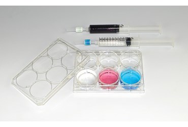 Kool Chromatography Chemical Demonstration Kit