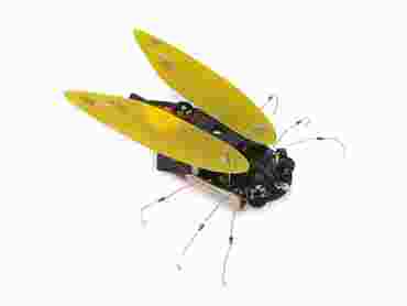 Electronic Cricket Minikit for Physics and Physical Science