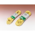 Extension Cord 25'