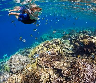 IMSA Fusion STEM Refill Kits