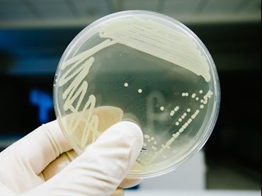 IMSA Fusion STEM Curriculum - Classic Modules