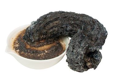 Carbon Snake - Chemical Demonstration Kit