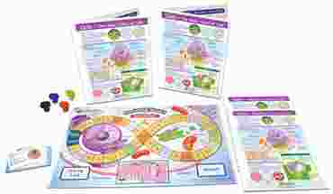 Cells: The Basic Units of Life - NewPath Science Learning Center