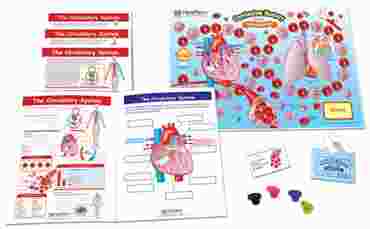 The Circulatory System - NewPath Science Learning Center