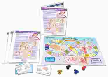 The Endocrine System - NewPath Science Learning Center