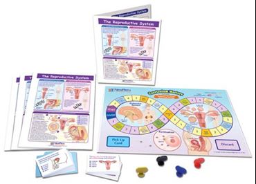 The Reproductive System - NewPath Science Learning Center