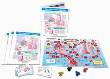 The Respiratory System - NewPath Science Learning Center