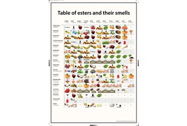 Esters and Their Smells Poster