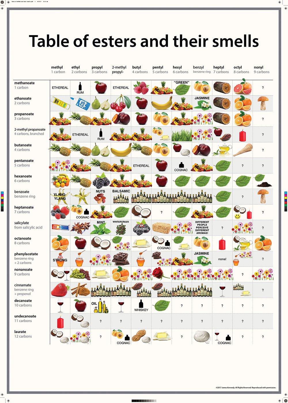 Esters And Their Smells Poster Flinn Scientific Esters And Their Smells Poster Flinn Scientific