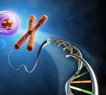 IMSA Fusion STEM Curriculum - Premium Modules