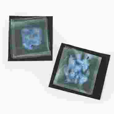 Liquid Crystals: The Fourth State of Matter – Blended Learning Solution for Chemistry 1-Year Access