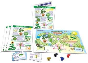 Main Parts of Plants—NewPath Science Learning Center