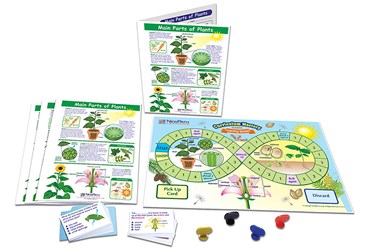 Main Parts of Plants—NewPath Science Learning Center