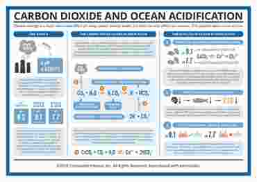 Compound Interest™ Carbon Dioxide and Ocean Acidification