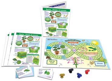 Roots, Stems & Leaves—NewPath Science Learning Center
