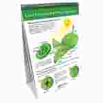Photosynthesis & Cellular Respiration—NewPath Science Flip Chart Set