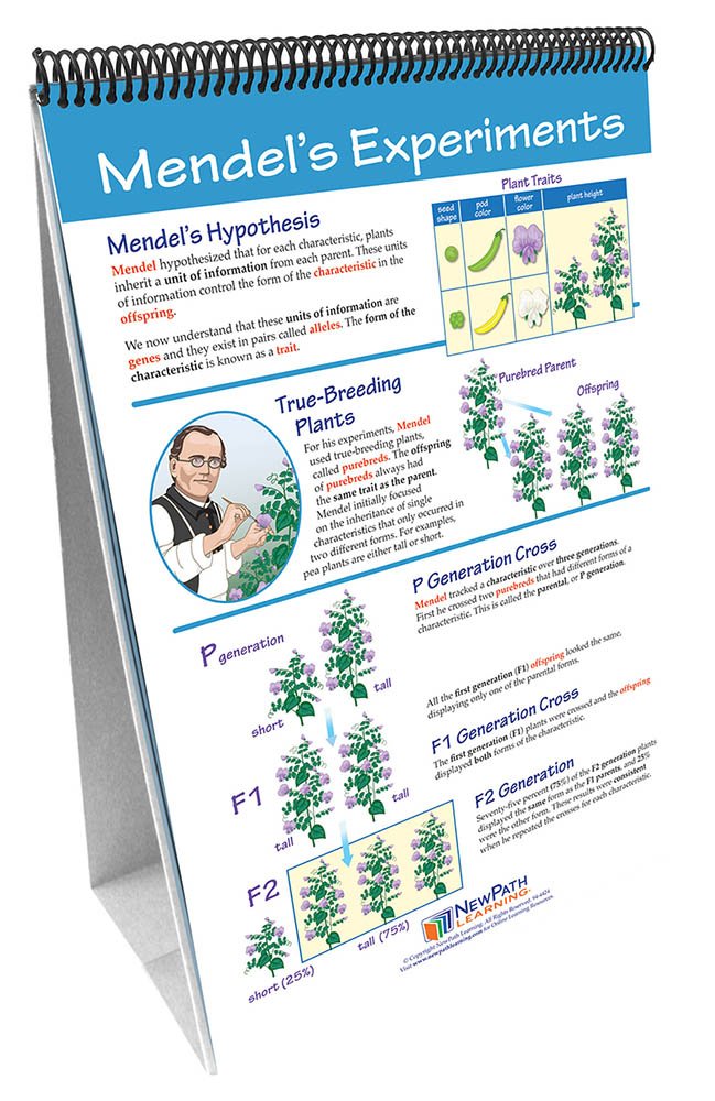 Heredity Chart