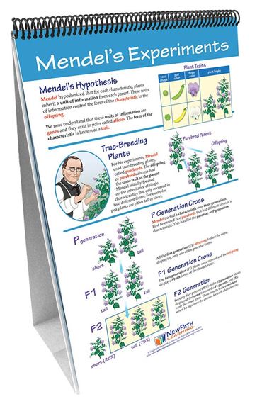 Genetics: The Study of Heredity—NewPath Science Flip Chart Set